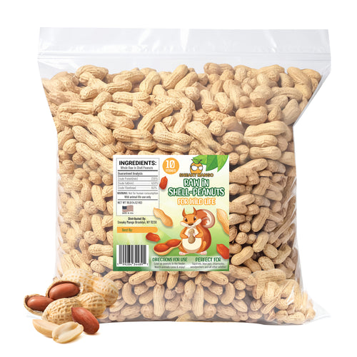 Raw Peanuts- In Shell – Sneaky Mango