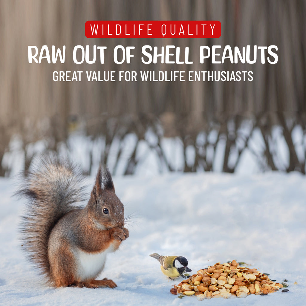 Raw Shelled Peanuts – Sneaky Mango