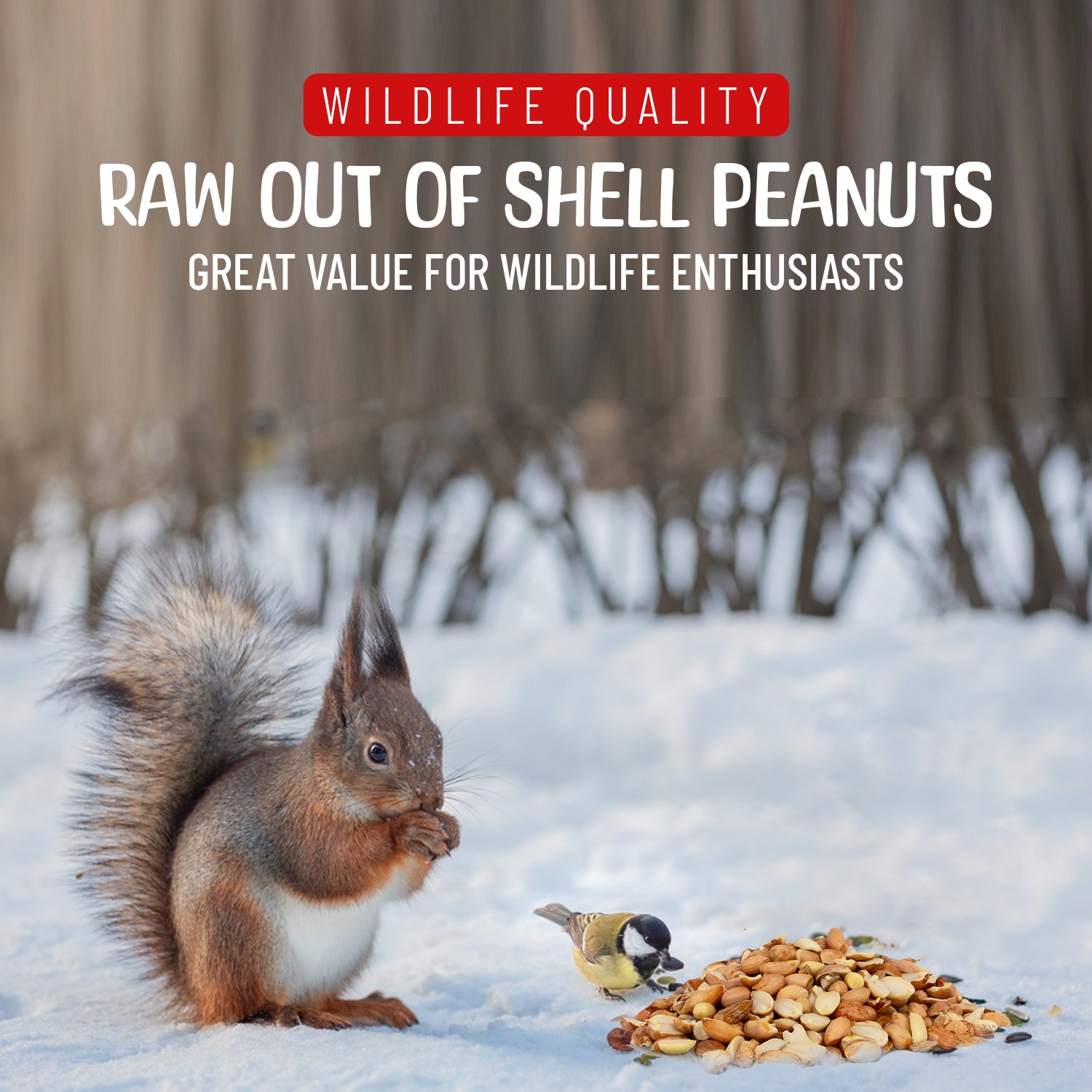 Raw Shelled Peanuts – Sneaky Mango