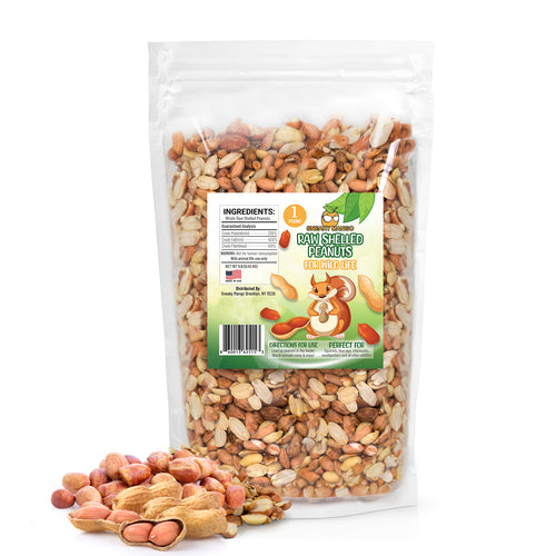 Raw Shelled Peanuts – Sneaky Mango