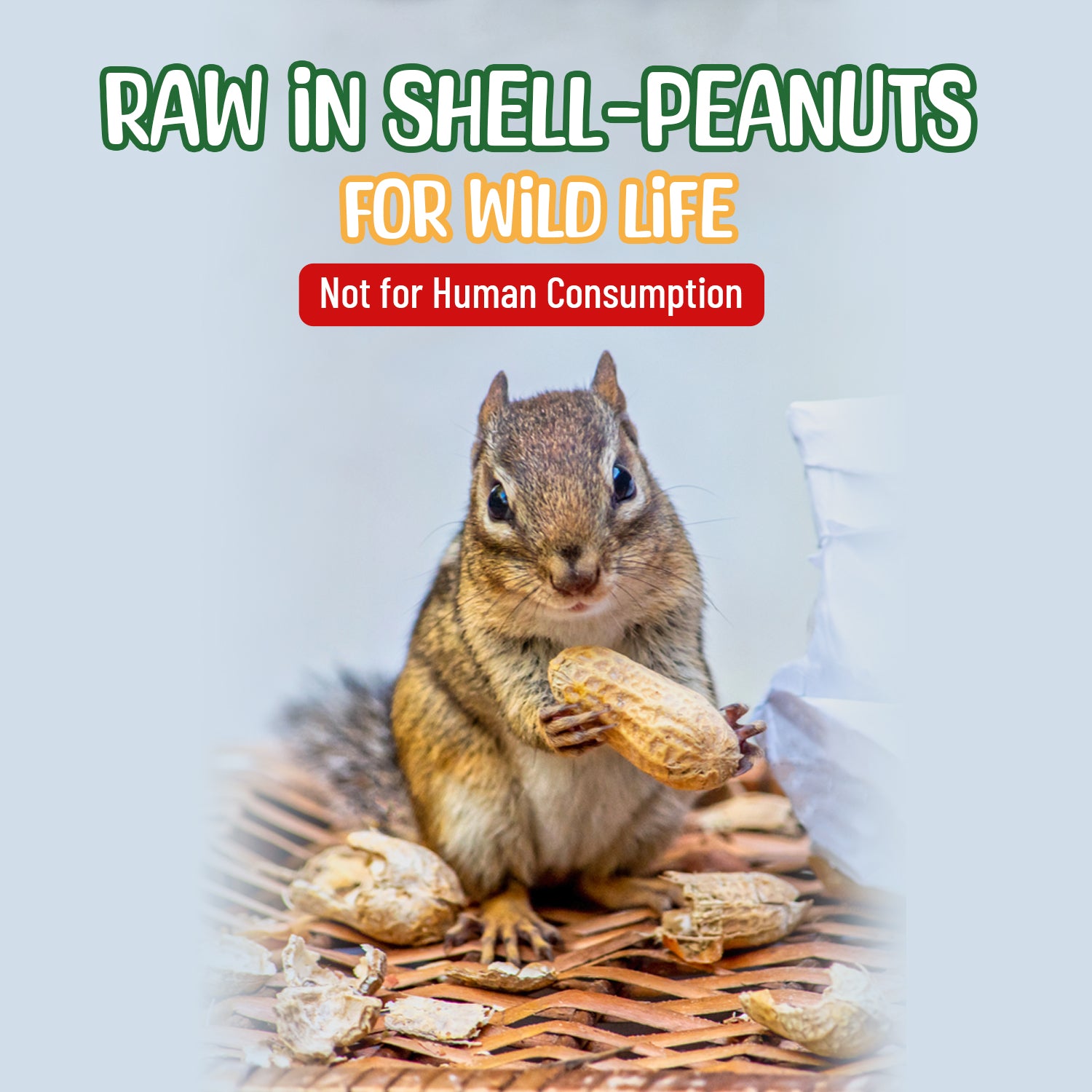 Raw Peanuts- In Shell – Sneaky Mango